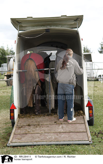 Pferde verladen / horse transport / RR-28411