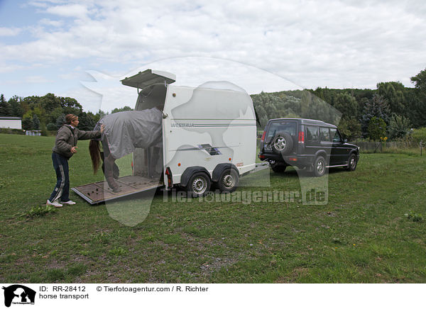 Pferde verladen / horse transport / RR-28412