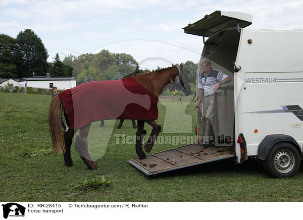 Pferde verladen / horse transport / RR-28415