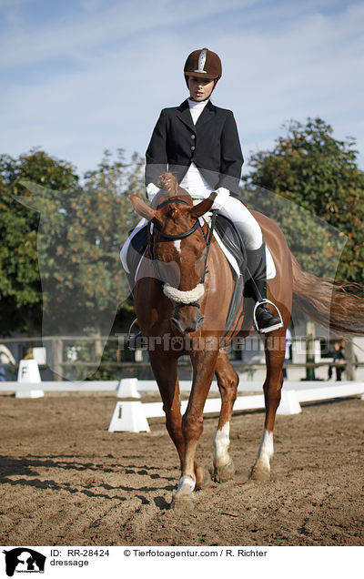 E-Dressur Prfung / dressage / RR-28424