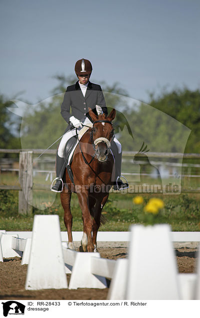 E-Dressur Prfung / dressage / RR-28433