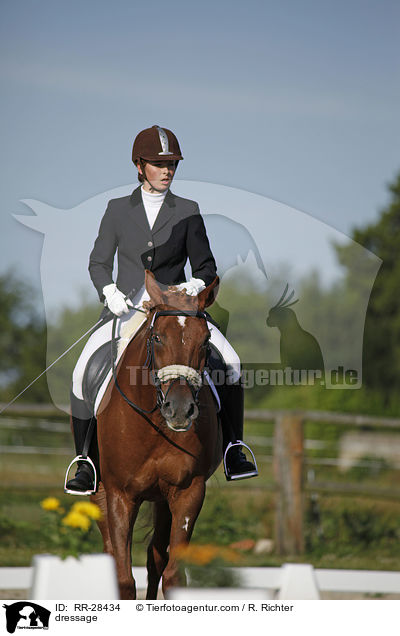 E-Dressur Prfung / dressage / RR-28434