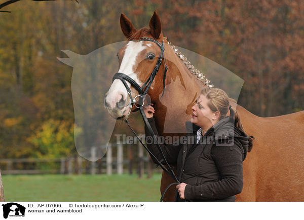 Frau und Deutsches Sportpferd / woman and warmblood / AP-07066