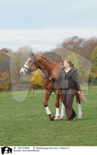 Frau und Deutsches Sportpferd / woman and warmblood / AP-07068