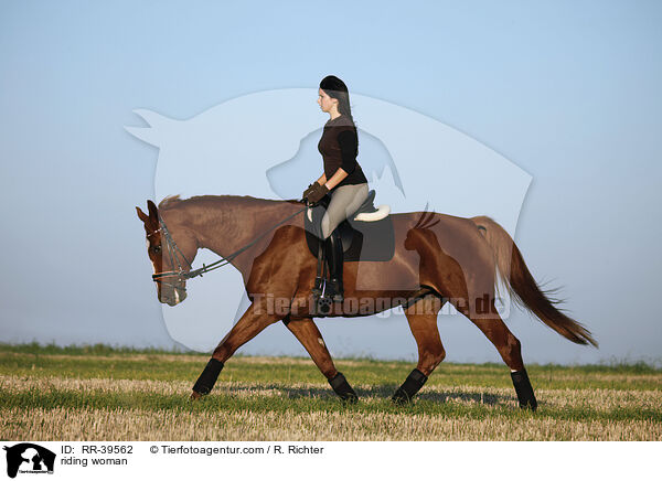 Reiterin / riding woman / RR-39562