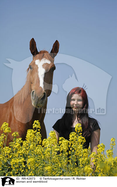Frau und Deutsches Sportpferd / woman and warmblood / RR-42873