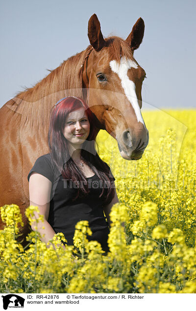 Frau und Deutsches Sportpferd / woman and warmblood / RR-42876