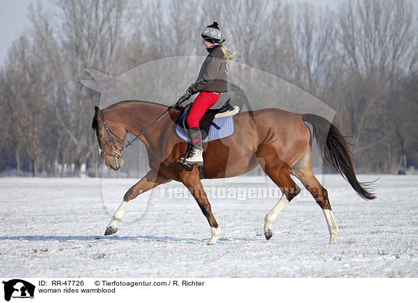 Frau reitet Deutsches Sportpferd / woman rides warmblood / RR-47726