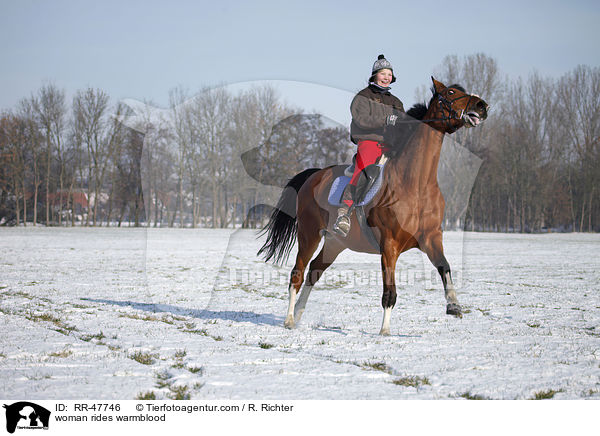 Frau reitet Deutsches Sportpferd / woman rides warmblood / RR-47746