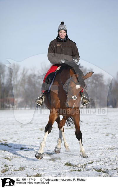 Frau reitet Deutsches Sportpferd / woman rides warmblood / RR-47749