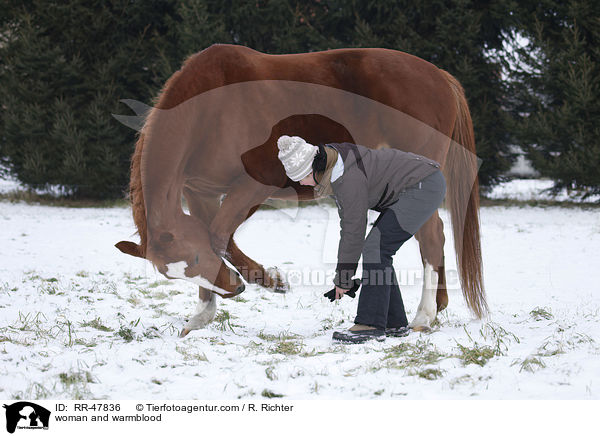 Frau mit Deutschem Sportpferd / woman and warmblood / RR-47836