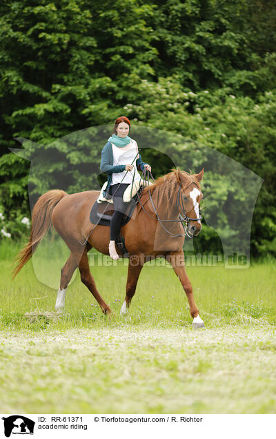 Akademische Reitkunst / academic riding / RR-61371