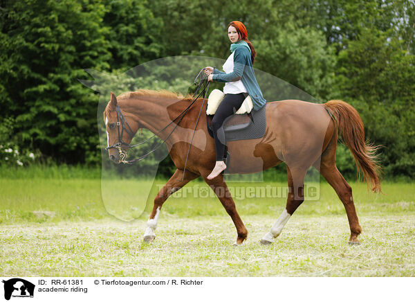 Akademische Reitkunst / academic riding / RR-61381