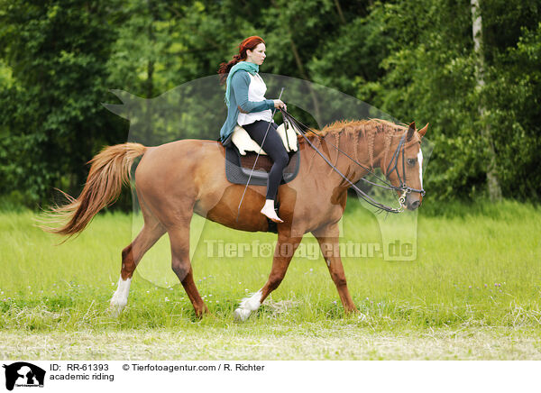 Akademische Reitkunst / academic riding / RR-61393