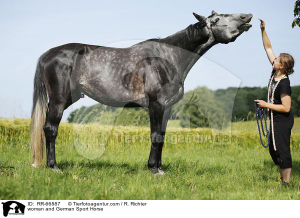 Frau und Deutsches Sportpferd / woman and German Sport Horse / RR-66887