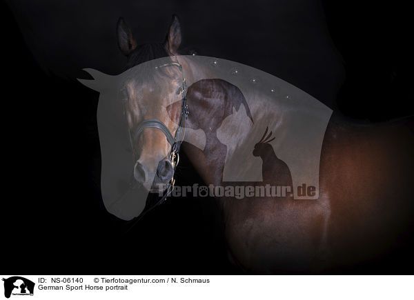 Deutschem Sportpferd Portrait / German Sport Horse portrait / NS-06140