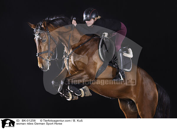 Frau reitet Deutsches Sportpferd / woman rides German Sport Horse / BK-01258