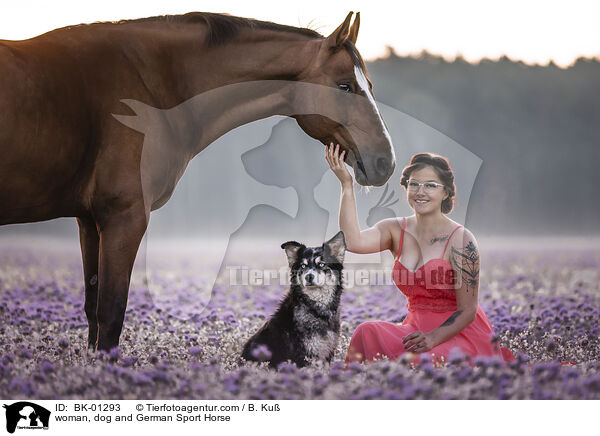 woman, dog and German Sport Horse / BK-01293