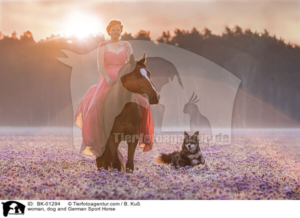 woman, dog and German Sport Horse / BK-01294