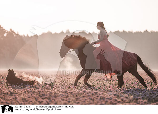 Frau, Hund und Deutsches Sportpferd / woman, dog and German Sport Horse / BK-01317