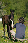 young man with foal