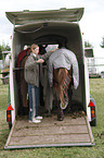 horse transport