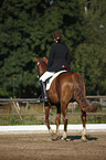 dressage