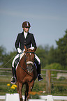 dressage