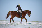 rider with warmblood