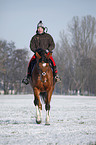 woman rides warmblood