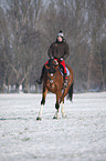 woman rides warmblood