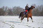 woman rides warmblood