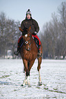 woman rides warmblood