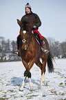 woman rides warmblood