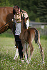 mare with foal