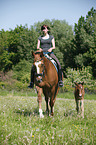 riding with foal