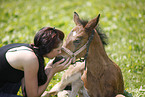 woman with foal