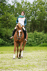 academic riding