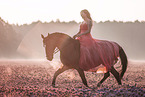 woman and German Sport Horse