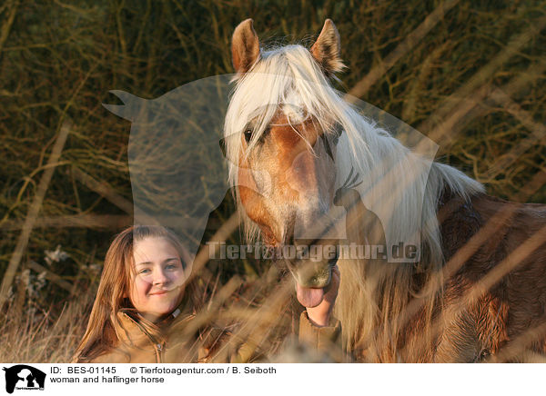 woman and haflinger horse / BES-01145