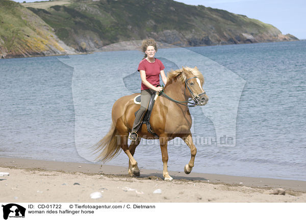 Frau reitet Haflinger / woman rides haflinger horse / CD-01722
