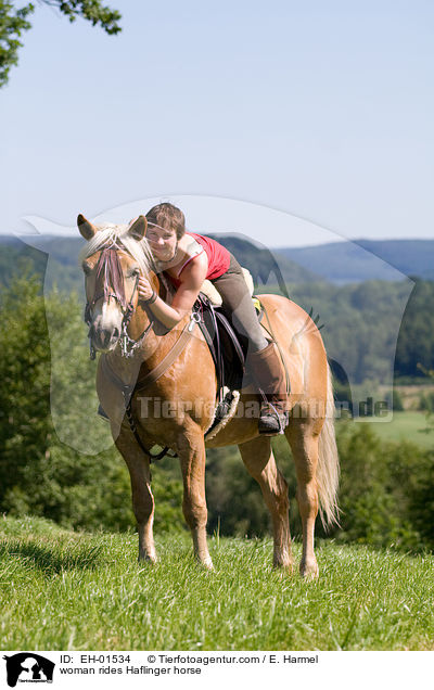 Frau reitet Haflinger / woman rides Haflinger horse / EH-01534
