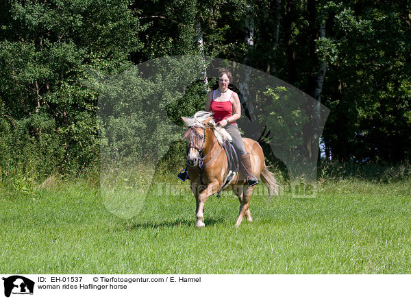 Frau reitet Haflinger / woman rides Haflinger horse / EH-01537