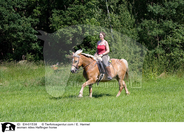 Frau reitet Haflinger / woman rides Haflinger horse / EH-01538