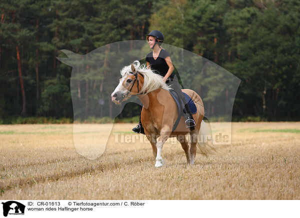 Frau reitet Haflinger / woman rides Haflinger horse / CR-01613