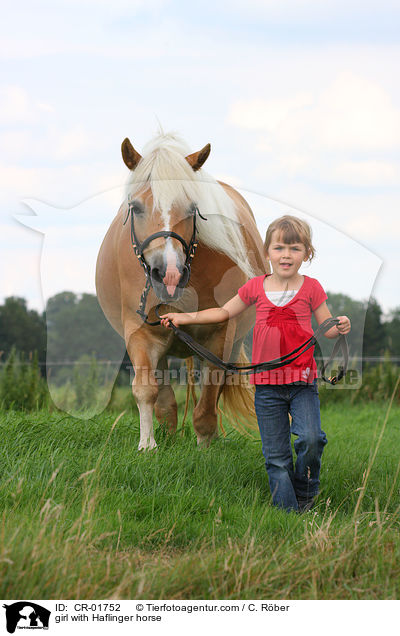 Mdchen fhrt Haflinger / girl with Haflinger horse / CR-01752
