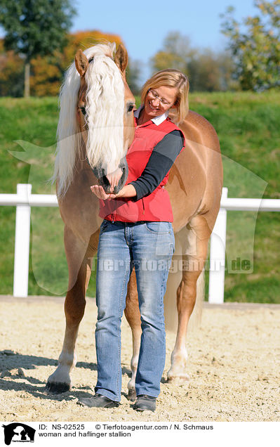 Frau und Haflinger Hengst / woman and haflinger stallion / NS-02525