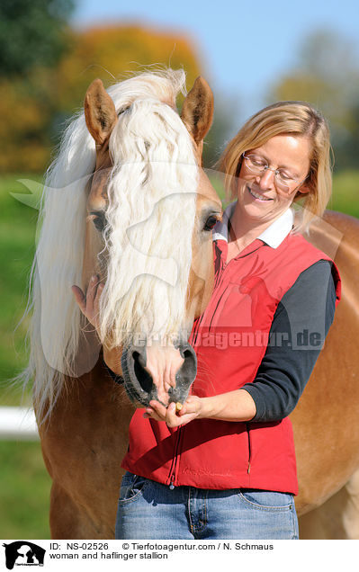 Frau und Haflinger Hengst / woman and haflinger stallion / NS-02526