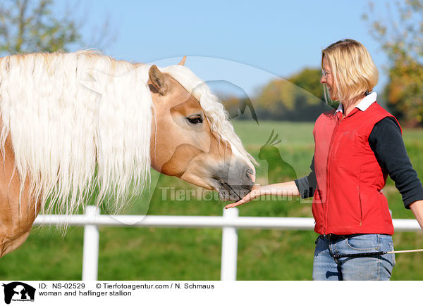 Frau und Haflinger Hengst / woman and haflinger stallion / NS-02529