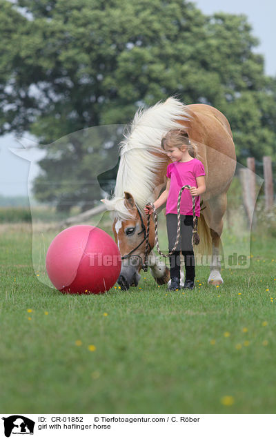 M�dchen mit Haflinger / girl with haflinger horse / CR-01852